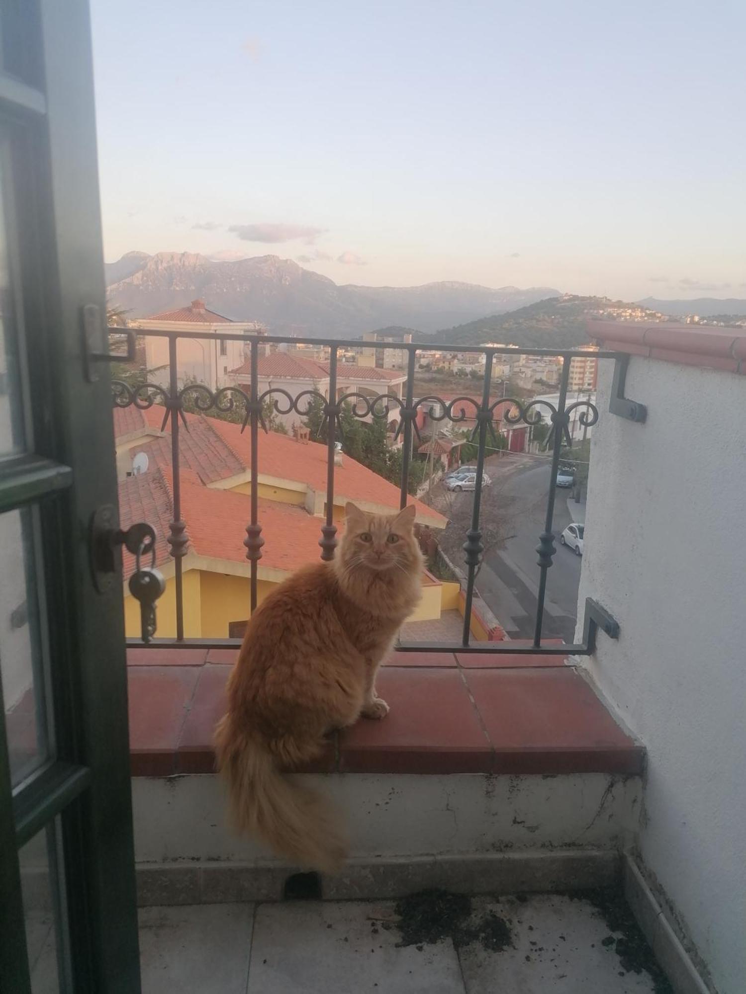 Coros Hotel Nuoro  Bagian luar foto